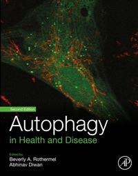Bild: Autophagy in Health and Disease - Academic Press