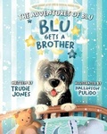 Cover: The adventures of Blu, Blu gets a brother - Baby Listener