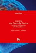 Cover: Cerebral and Cerebellar Cortex - IntechOpen