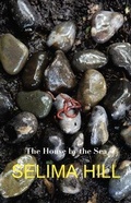 Cover: The House by the Sea - Fair Acre Press