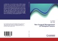 Cover: Non Surgical Management of Periapical Lesions - LAP Lambert Academic Publishing