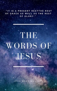 Enlarge image Cover: The Words Of Jesus - Darolt Books