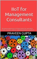 Cover: IIoT for Management Consultants - Unwired Digital