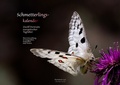 Cover: Schmetterlingskalender - Hartmut Lux