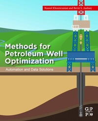 Abbildung von: Methods for Petroleum Well Optimization - Gulf Professional Publishing