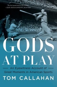 Abbildung von: Gods at Play - WW Norton & Co