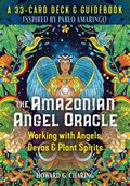 Cover: The Amazonian Angel Oracle - Destiny Books,U.S.