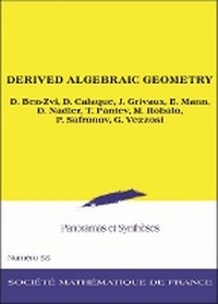 Enlarge image Cover: Derived Algebraic Geometry - Societe mathematique de France