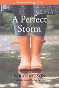 Cover: A Perfect Storm - Sarah Nelson