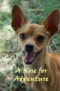 Enlarge image Cover: A Nose for Adventure - Ink-Filled Stories