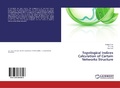 Cover: Topological Indices Calculation of Certain Networks Structure - LAP Lambert Academic Publishing