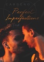 Cover: Perfect Imperfections - Dead Soft Verlag