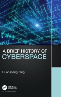 Abbildung von: A Brief History of Cyberspace - Auerbach