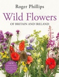 Cover: Wild Flowers - Macmillan