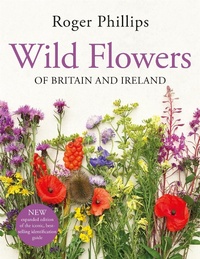 Enlarge image Cover: Wild Flowers - Macmillan