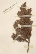 Cover: The Sleep Road - Tapsalteerie