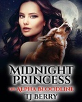 Cover: Midnight Princess - Fox Fire Publications LLC