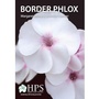Cover: Border Phlox 2020: 2 - Hardy Plant Society