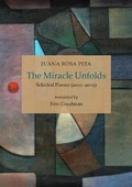 Cover: The Miracle Unfolds - Song Bridge Project