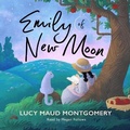 Cover: Emily of New Moon - Design Sound Productions