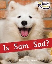 Enlarge image Cover: Is Sam Sad? - Ransom Publishing