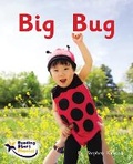 Cover: Big Bug - Ransom Publishing