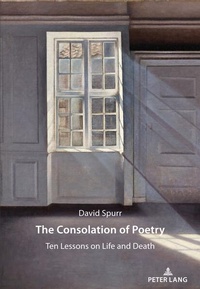 Enlarge image Cover: The Consolation of Poetry - Peter Lang Verlag