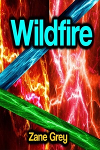 Abbildung von: Wildfire - Phoemixx Classics Ebooks