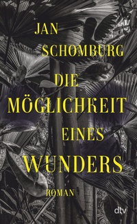 Abbildung von: Die Möglichkeit eines Wunders - dtv