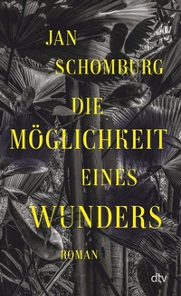 Abbildung von: Die Möglichkeit eines Wunders - dtv