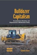 Cover: Bulldozer Capitalism - Berghahn Books
