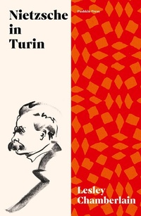 Abbildung von: Nietzsche in Turin - Pushkin Press
