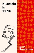 Cover: Nietzsche in Turin - Pushkin Press