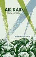 Cover: Air Raid - Ugly Duckling Presse