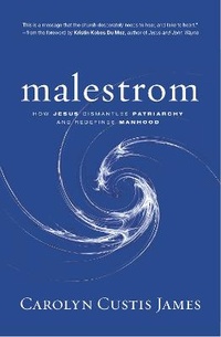 Enlarge image Cover: Malestrom - Zondervan