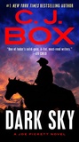 Cover: Dark Sky - G P Putnam's Sons