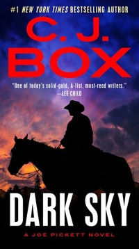 Enlarge image Cover: Dark Sky - G P Putnam's Sons