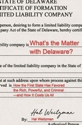 Cover: What's the Matter with Delaware? - Princeton University Press