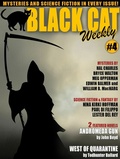 Cover: Black Cat Weekly #4 - Wildside Press