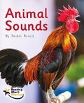 Cover: Animal Sounds - Ransom Publishing