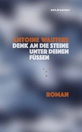 Cover: Denk an die Steine unter Deinen F&uuml;ssen - Secession Verlag f&uuml;r Literatur