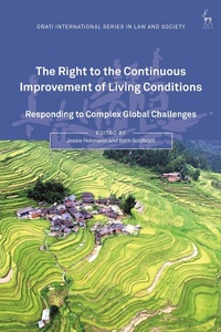 Abbildung von: The Right to the Continuous Improvement of Living Conditions - Hart Publishing