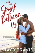 Cover: The Spark Between Us - Fast Turtle Press