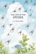 Cover: The Life of the Spider - Purple House Press