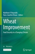 Cover: Wheat Improvement - Springer