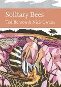 Cover: Solitary Bees - William Collins