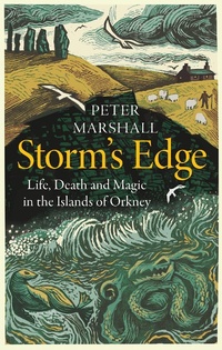Enlarge image Cover: Storm's Edge - William Collins