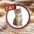 Cover: Life Cycle of a Cat - Kidhaven Publishing