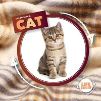 Enlarge image Cover: Life Cycle of a Cat - Kidhaven Publishing