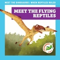 Cover: Meet the Flying Reptiles - Grasshopper Books
